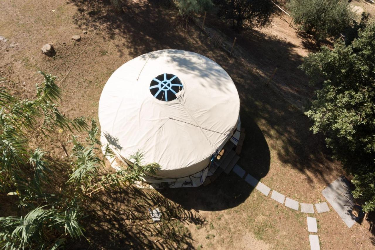 Alpaca Country House Pontedera Εξωτερικό φωτογραφία