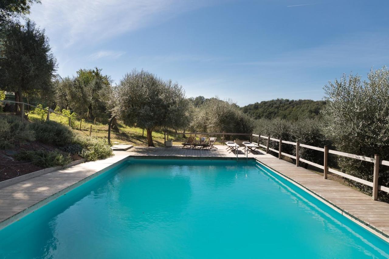 Alpaca Country House Pontedera Εξωτερικό φωτογραφία