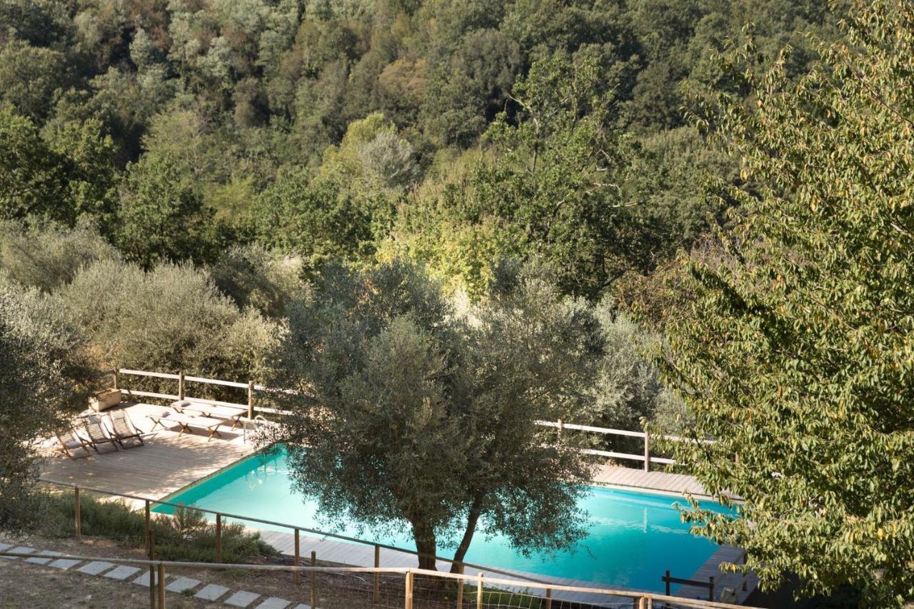 Alpaca Country House Pontedera Εξωτερικό φωτογραφία
