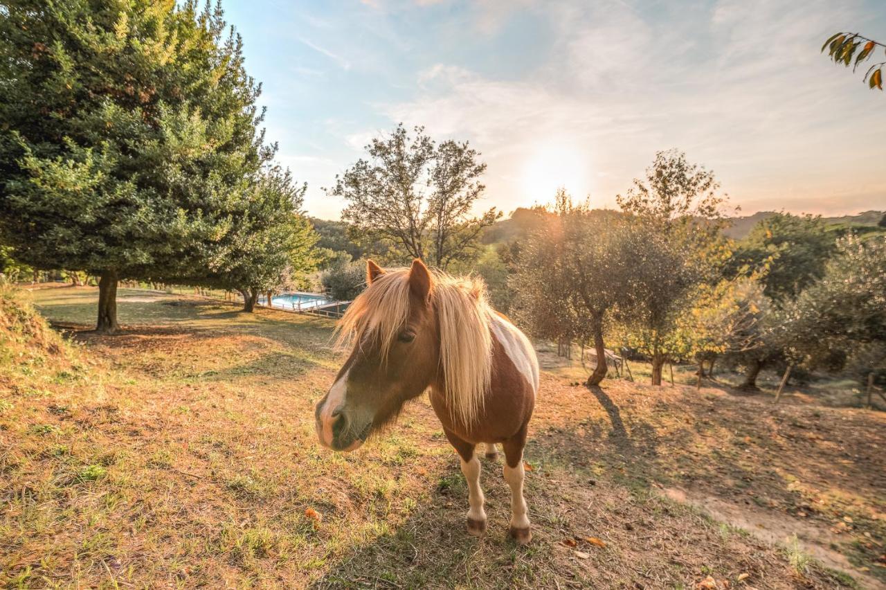 Alpaca Country House Pontedera Εξωτερικό φωτογραφία