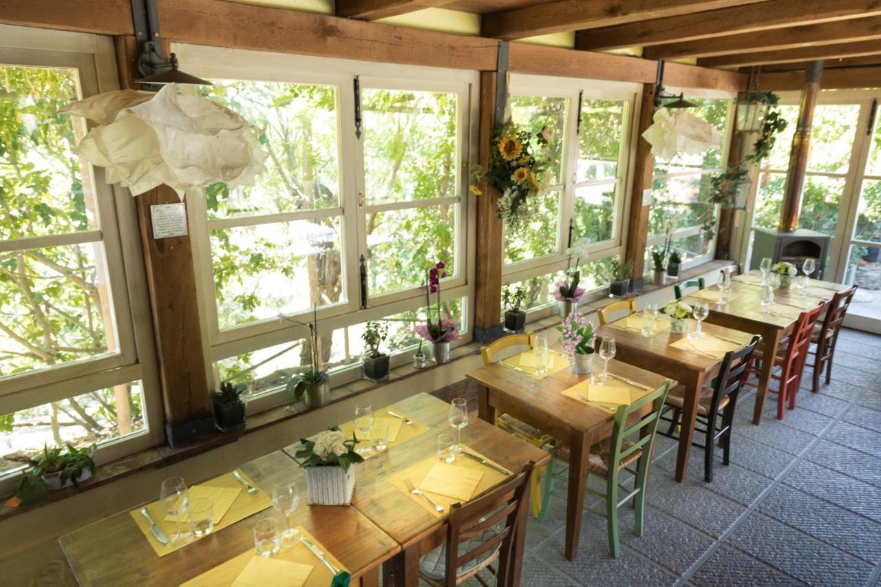 Alpaca Country House Pontedera Εξωτερικό φωτογραφία